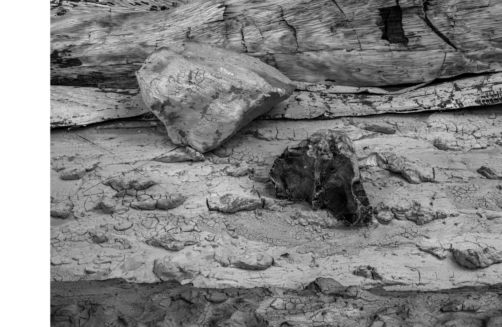 «Vértebra pequeña», grabado en fotopolímero de Antonio Damián: una piedra grande y clara apoyada en un tronco y, a su derecha, una vértebra oscura sobre el barro cuarteado
